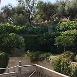 The Olive Orchard Zíria