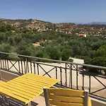 The Olive Orchard