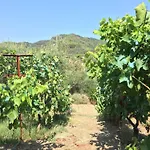 Tatil Evi The Olive Orchard