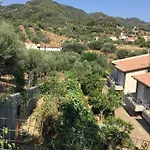 The Olive Orchard Tatil Evi