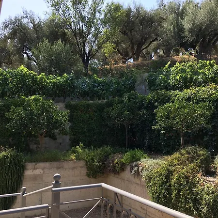 The Olive Orchard Ziria