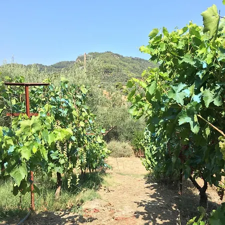 Holiday home The Olive Orchard