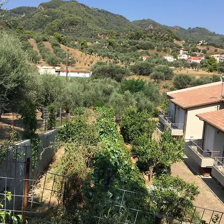 The Olive Orchard Holiday home