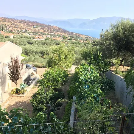Holiday home The Olive Orchard Ziria