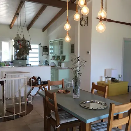 The Olive Orchard Ziria