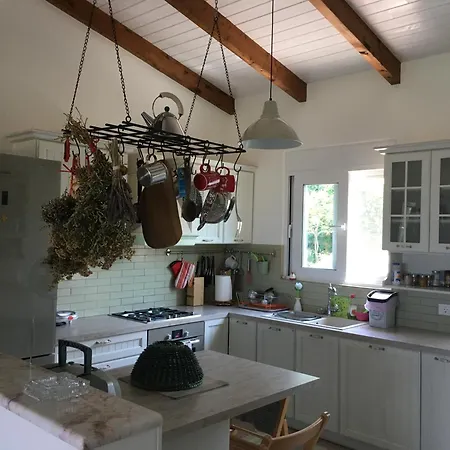 The Olive Orchard Ziria