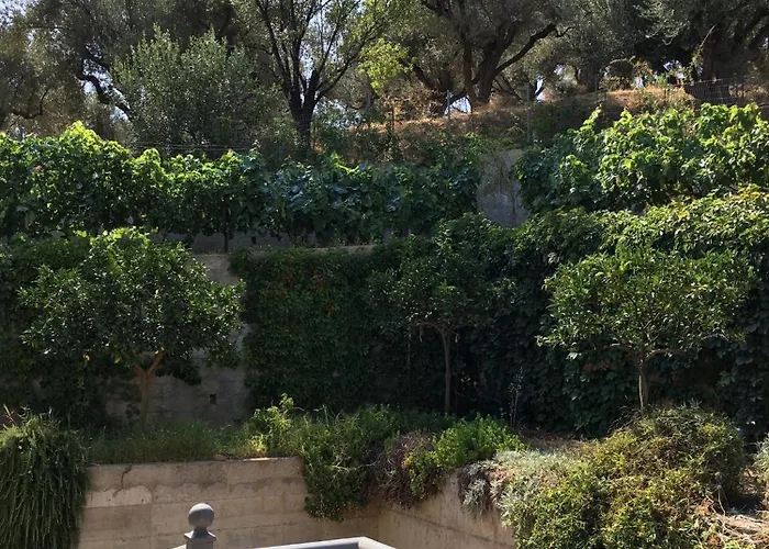 The Olive Orchard Zíria