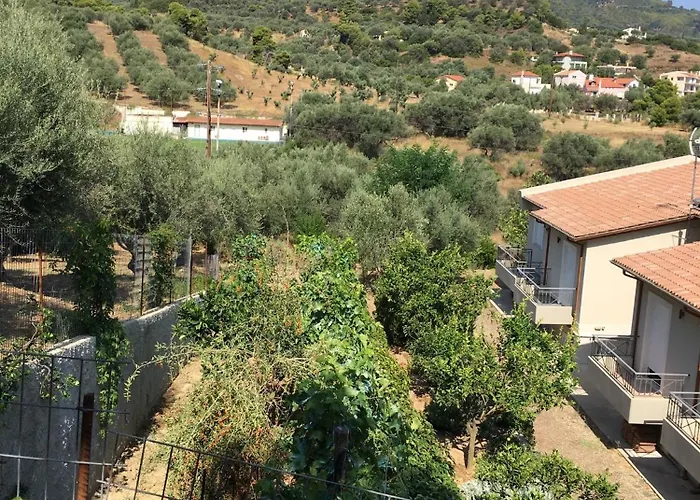 The Olive Orchard Ferienhaus