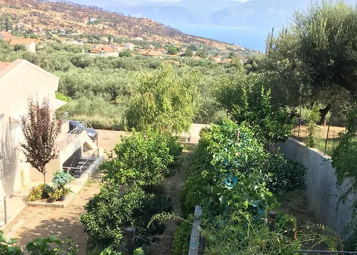 Сasa de vacaciones The Olive Orchard Zíria