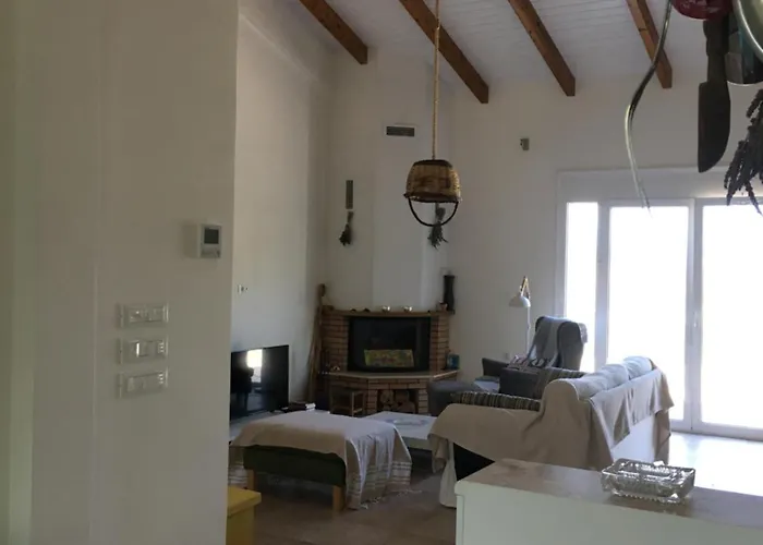 The Olive Orchard * Zíria