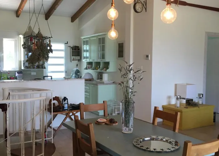 The Olive Orchard Ziria