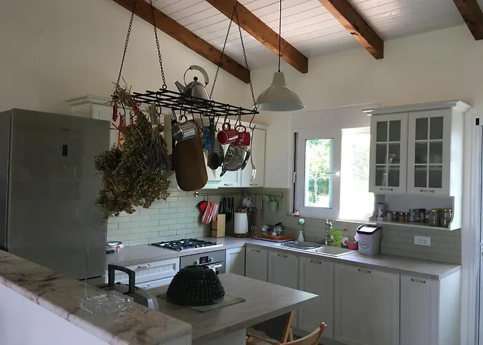 The Olive Orchard Zíria