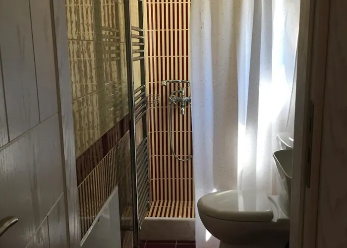 The Olive Orchard Zíria